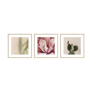 Obrazy zestaw 3 szt. 22,5x22,5 cm Flowers