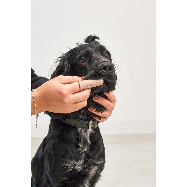 Szczoteczki do zębów dla zwierząt zestaw Dito – MiaCara-image-3