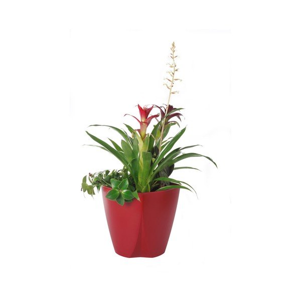 Czerwona doniczka Plastia Camay, ø 18,5 cm-image-1