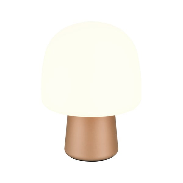 Biało-brązowa lampa stołowa ze szklanym kloszem (wysokość 27 cm) Steen – Trio-image-1