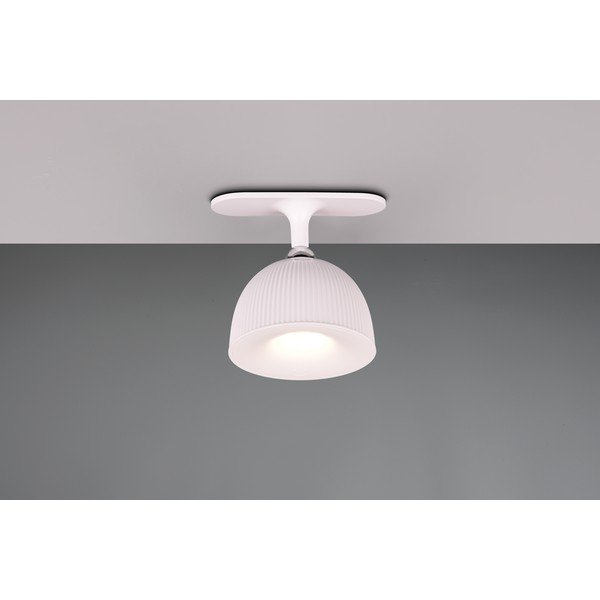 Biała lampa stołowa LED ze ściemniaczem i klipsem (wys. 41 cm) Maxima – Trio-image-2