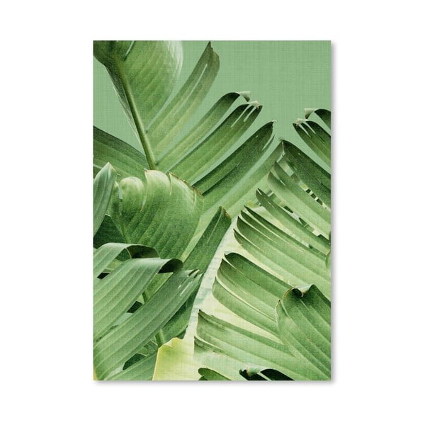 Plakat Tropi Leaves