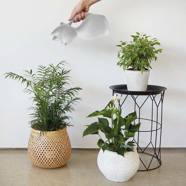 Plastikowa konewka 2 l Meow – Balvi-image-1