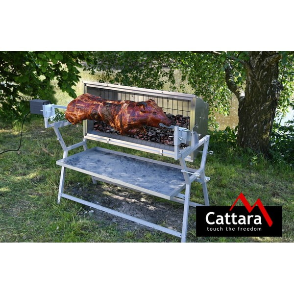 Grill na węgiel drzewny Piglet – Cattara-image-1