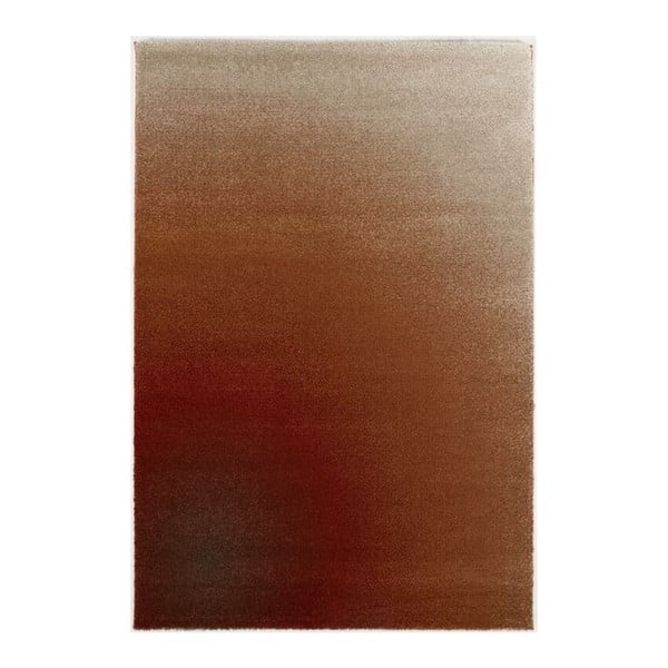 Brązowy dywan Calista Rugs Swamp, 120x170 cm