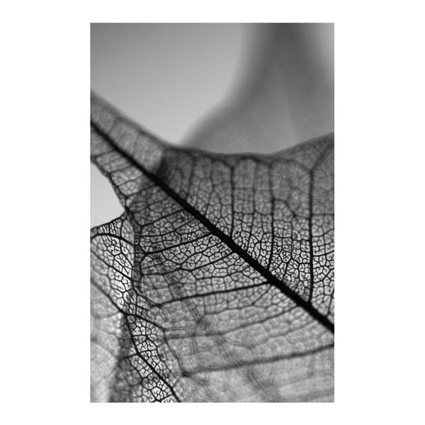 Obraz Black&White Microscope, 45x70 cm