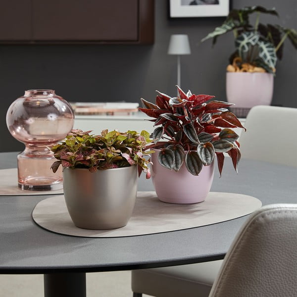 Doniczka ceramiczna ø 19 cm Basel Elegance – Big pots-image-1