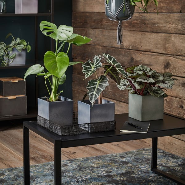 Fioletowa ceramiczna doniczka Big pots Latina, 15 x 15 cm-image-1