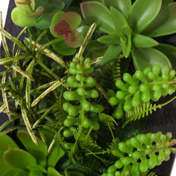 Zestaw 2 wiszących dekoracji w kształcie rosnącego kaktusa Unimasa-image-3