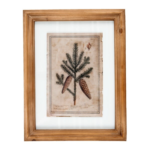 Obraz Clayre & Eef Pine Cones, 36x46 cm