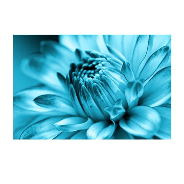 Obraz na szkle Niebieski kwiat, 40x60 cm