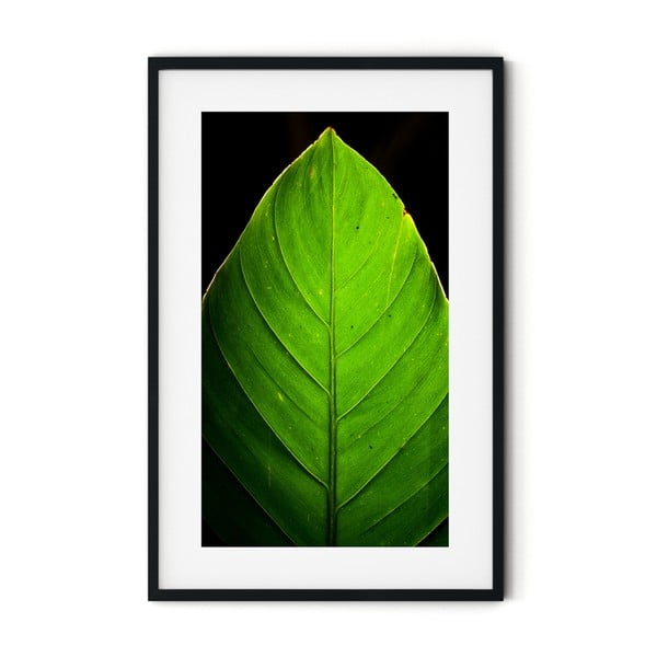 Plakat w ramie Insigne Leaf, 46x72 cm