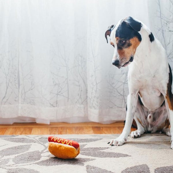 Zabawka dla psa Hot Dog – P.L.A.Y.-image-1