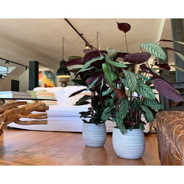 Ceramiczna ręcznie wykonana doniczka ø 29 cm Dóris – Artevasi-image-1