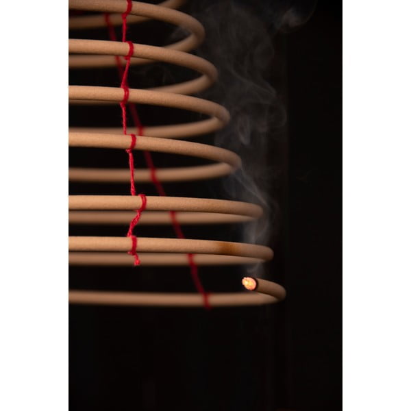 Wiszący odstraszacz komarów Esschert Design-image-2