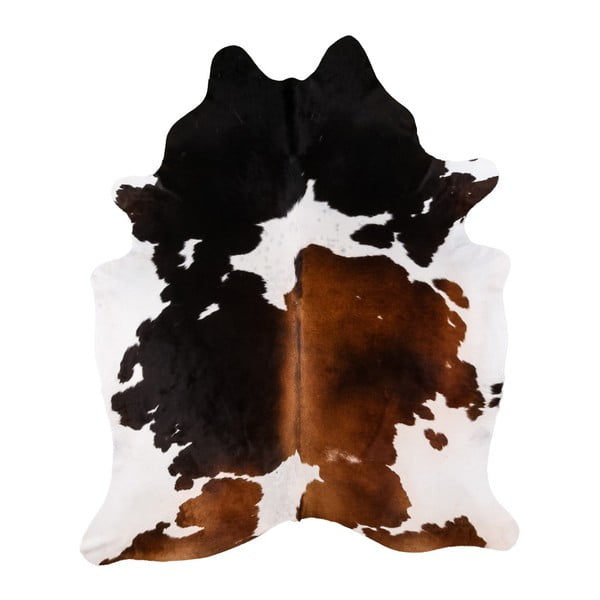 Dywan z prawdziwej skóry Arctic Fur Tricolor, 237x211 cm