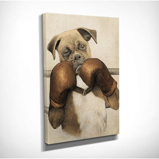Obraz na płótnie Boxer, 30x40 cm