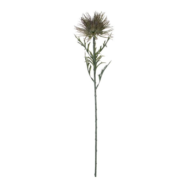 Sztuczny kwiat Protea Ego Dekor, wys. 71 cm