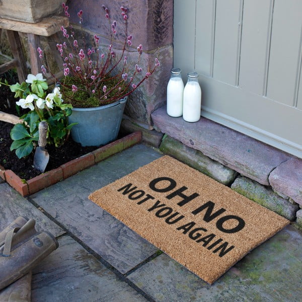 Wycieraczka z włókna kokosowego 40x60 cm Not You Again – Artsy Doormats-image-3