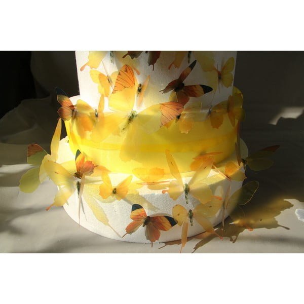 Zestaw 18 naklejek adhezyjnych 3D Fanastick Butterflies Yellow-image-3