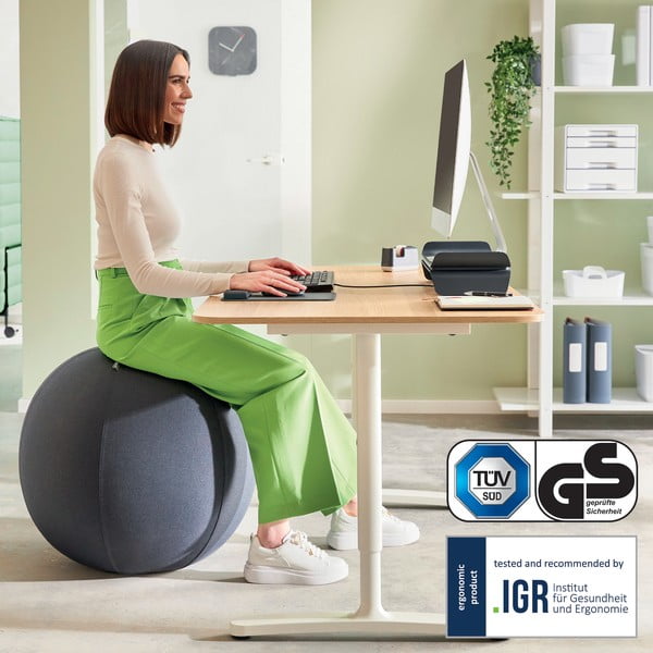 Ergonomiczna piłka do siedzenia z obciążnikami ø 65 cm Ergo – Leitz-image-4