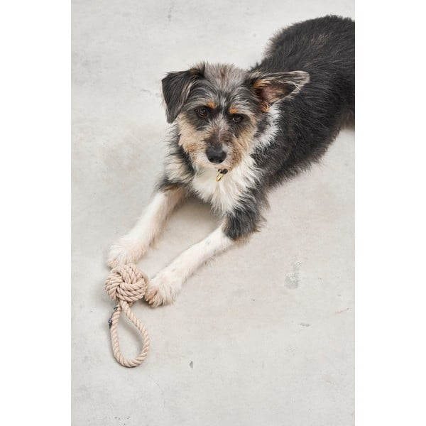 Zabawka dla psa Nodo Greige – MiaCara-image-2