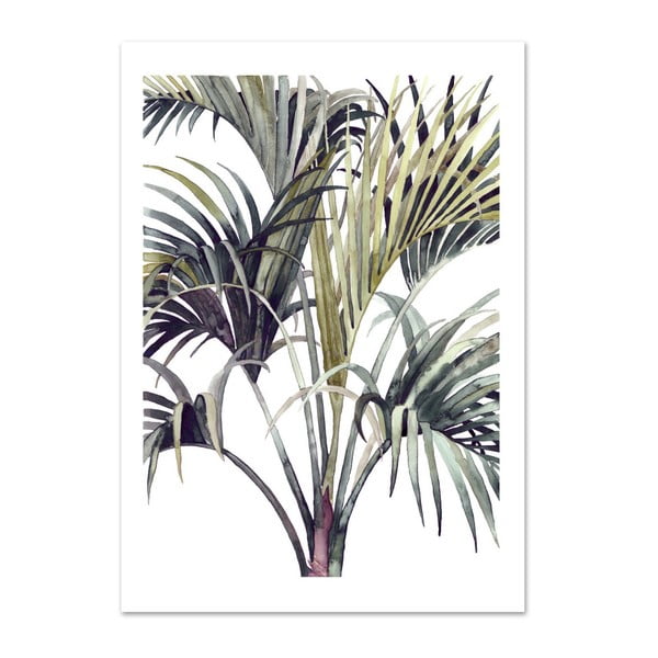 Plakat Leo La Douce Wild Palm, 21x29,7 cm