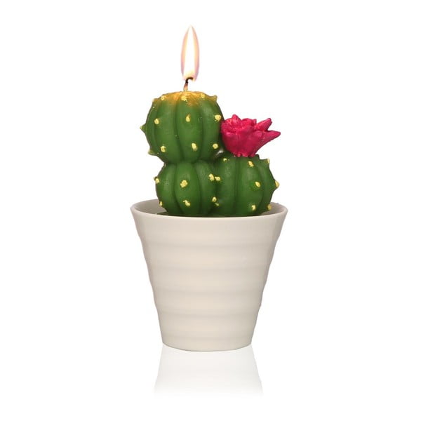 Świeczka dekoracyjna w kształcie kaktusa Versa Cactus Fila
