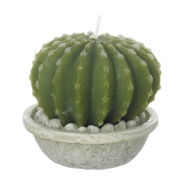 Świeczka Heaven Sends Cactus in Pot