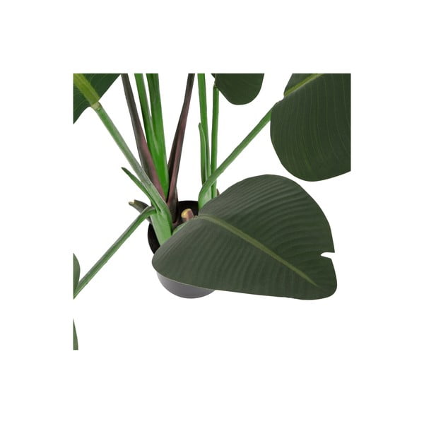 Sztuczna strelicja (wysokość 164 cm) – WOOOD-image-2