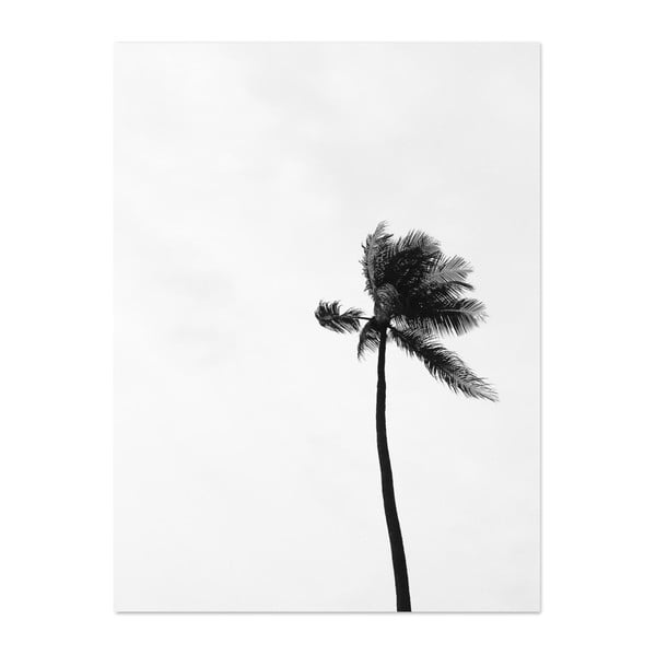 Plakat HF Living Botanic Palms, 30x40 cm