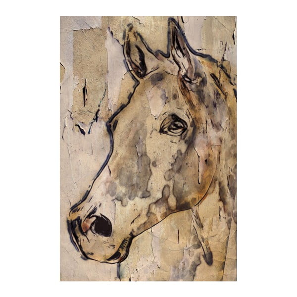 Obraz Marmont Hill Winner Horse, 45x30 cm