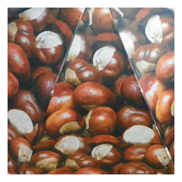Parasol Chestnust All Over-image-3