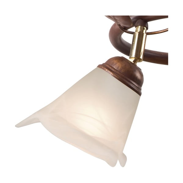 Ciemnobrązowa lampa sufitowa ze szklanym kloszem ø 13 cm Bluszcz – LAMKUR-image-4