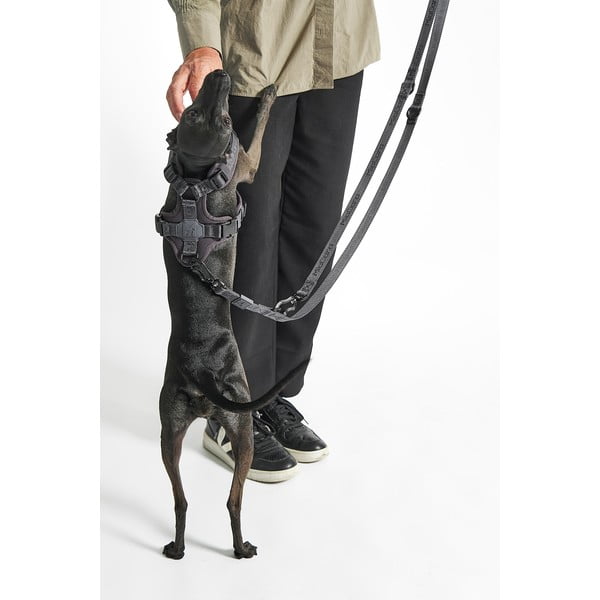 Zielona smycz przepinana długość 200 cm Modena Grolive 25 mm – MiaCara-image-3