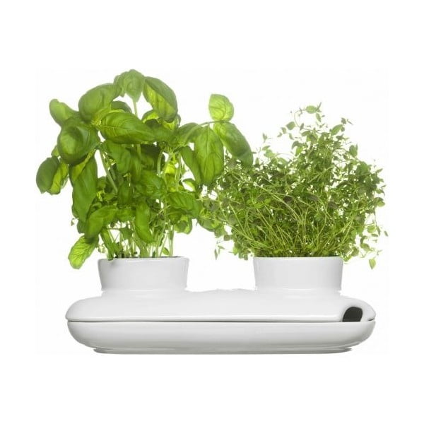 Doniczka na zioła Sagaform Duo Herb