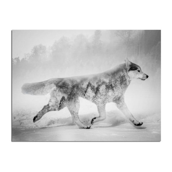 Obraz Styler Canvas Nordic Wolf, 75x100 cm