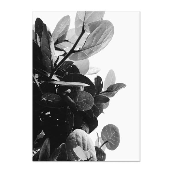 Plakat HF Living Botanic Bush, 50x70 cm
