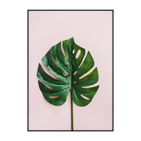 Plakat Imagioo Monstera Leaf, 40x30 cm