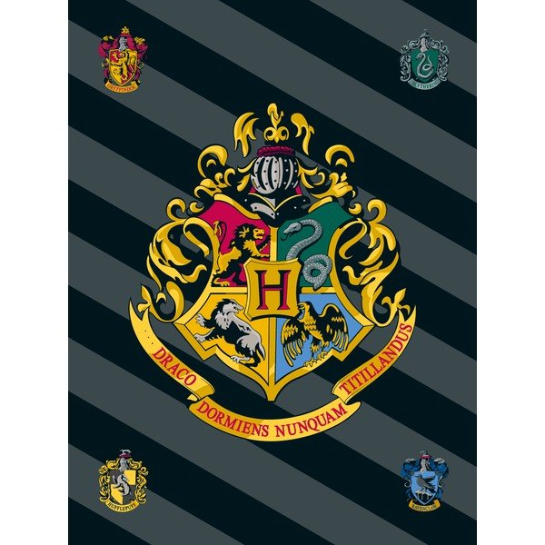 Polarowy koc dziecięcy 100x150 cm Harry Potter – Jerry Fabrics
