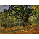 Reprodukcja obrazu Claude'a Moneta – The Bodmer Oak, Fontainebleau Forest, 70x50 cm