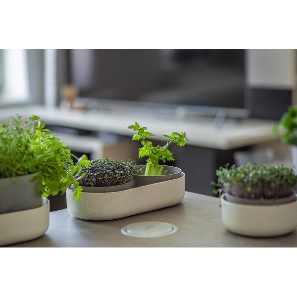 Plastikowa miska do kiełkowania Microgreens + Regrow – Plastia-image-2