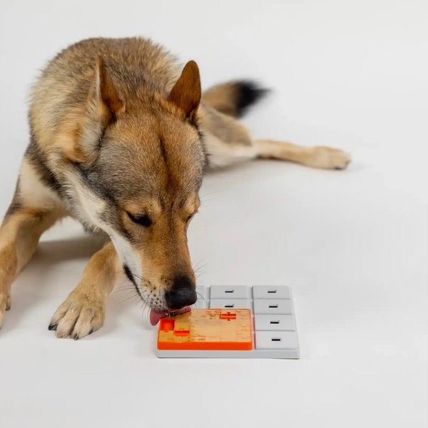Łamigłówka dla psów Terra – Pawzler-image-2