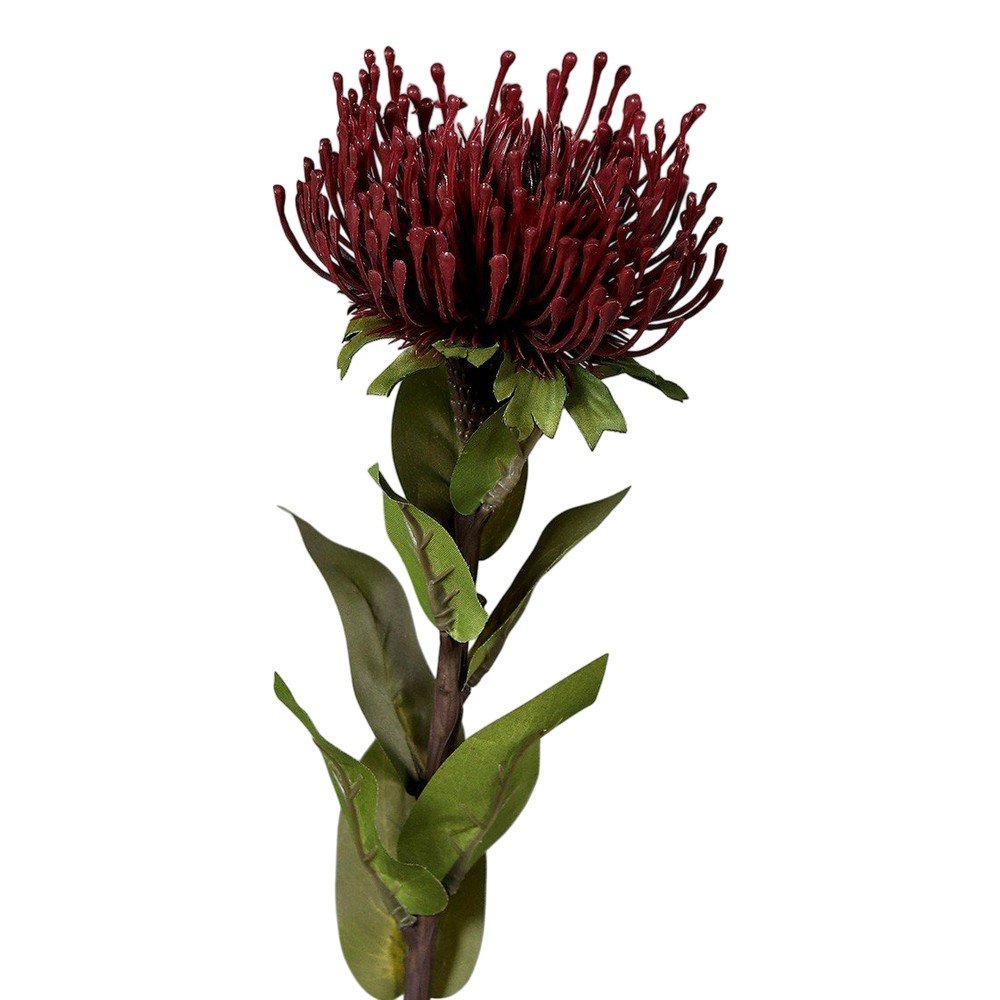 Sztuczny kwiat (wysokość 74 cm) Protea – Ego Dekor