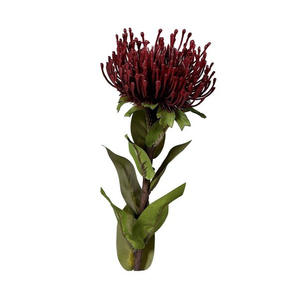 Sztuczny kwiat (wysokość 74 cm) Protea – Ego Dekor