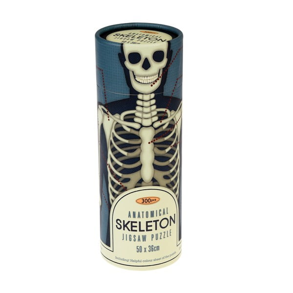 Puzzle w tubie Rex London Anatomical Skeleton
