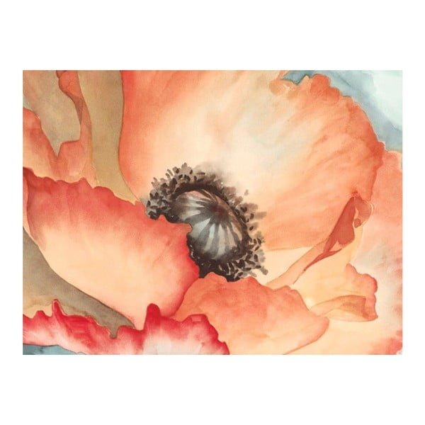 Obraz DecoMalta Zoom Poppies, 65x50 cm
