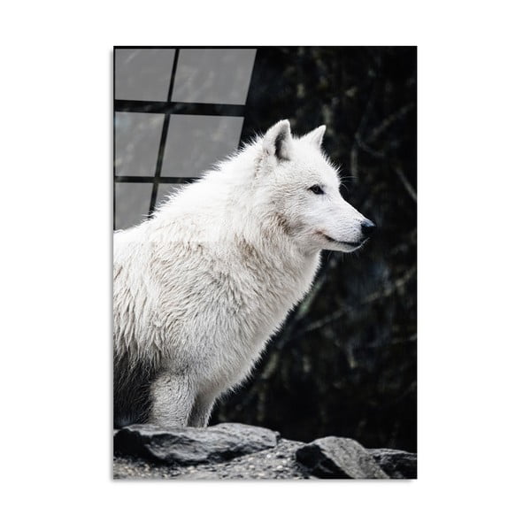 Szklany obraz 70x100 cm White Wolf – Wallity