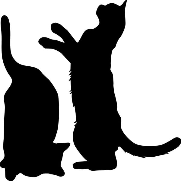 Zestaw 2 naklejek Ambiance Cute Cats-image-1