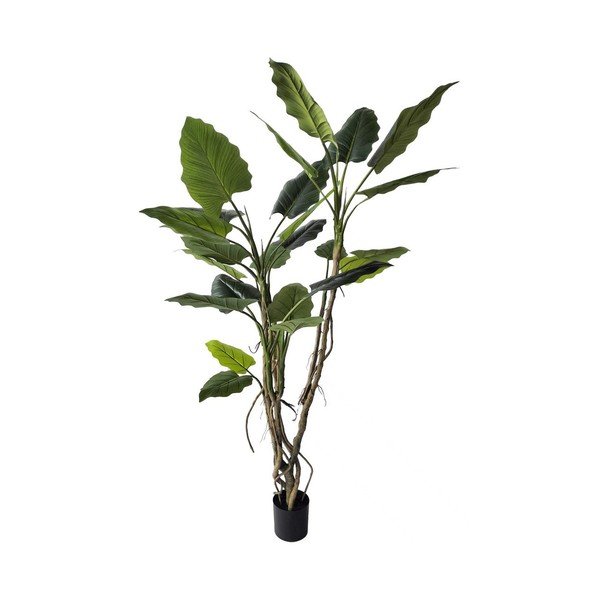 Sztuczny kwiat (wysokość 190 cm) Alocasia – Bizzotto